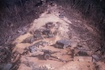Fire base