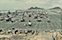 Flight line